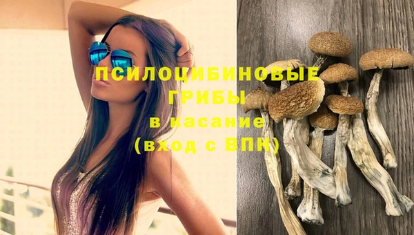гидропоника Беломорск