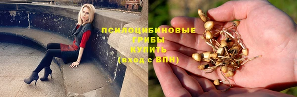apvp Белокуриха
