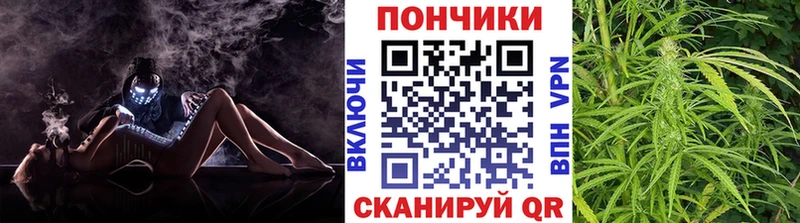 где купить наркоту  Демидов  Марихуана Ganja 